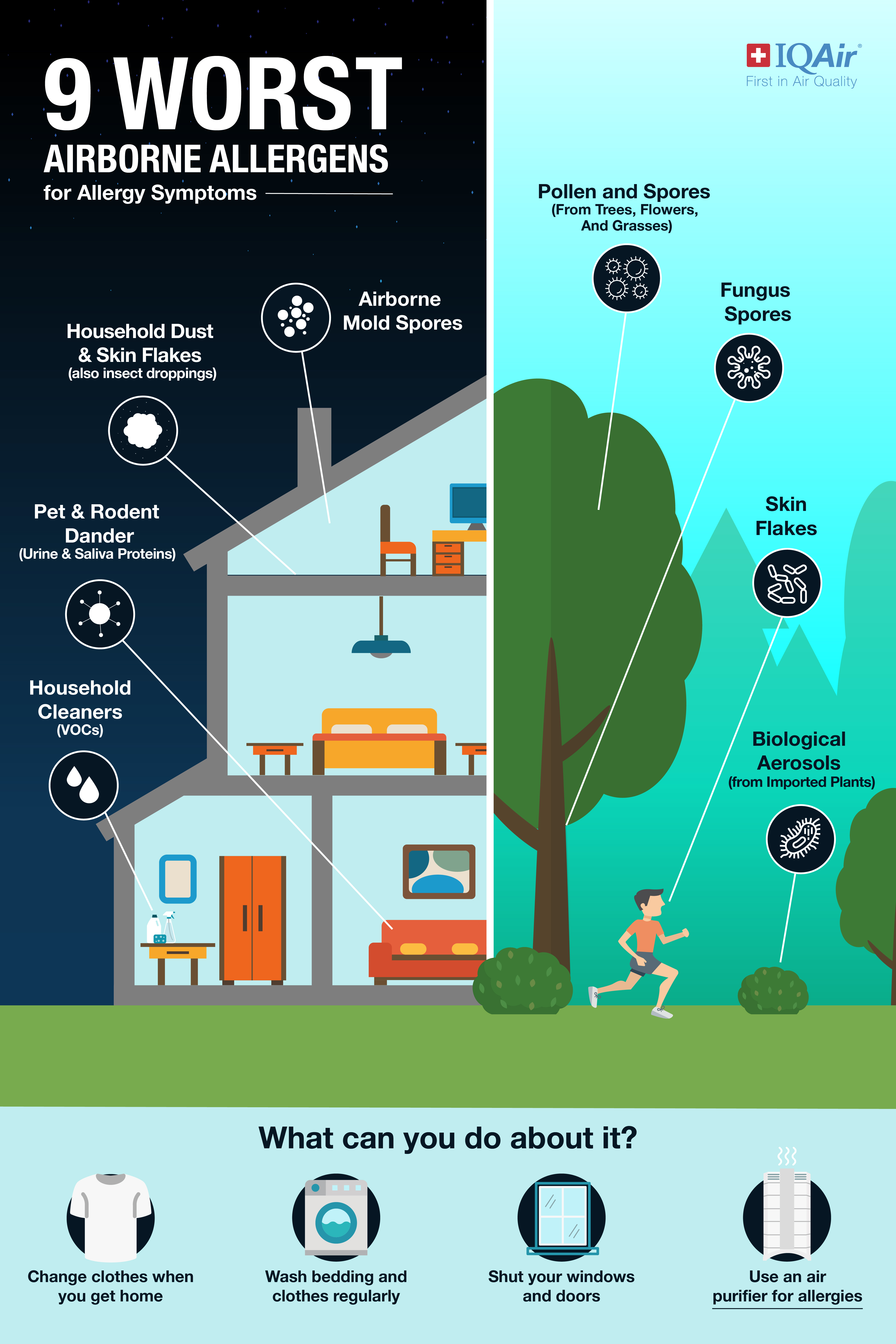Airborne allergies infographic