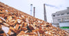 Biomass burning explained: What it is and why it matters