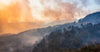 Forest fire smoke.