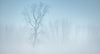 Central Europe Air Quality Alert